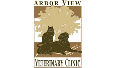 Atlantic 2024 emergency vet